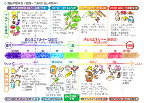 陰陽調理法|食べ物の「陰陽」とは？見分け方と自分の体質を知っ。